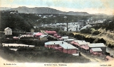 General View, Waikino